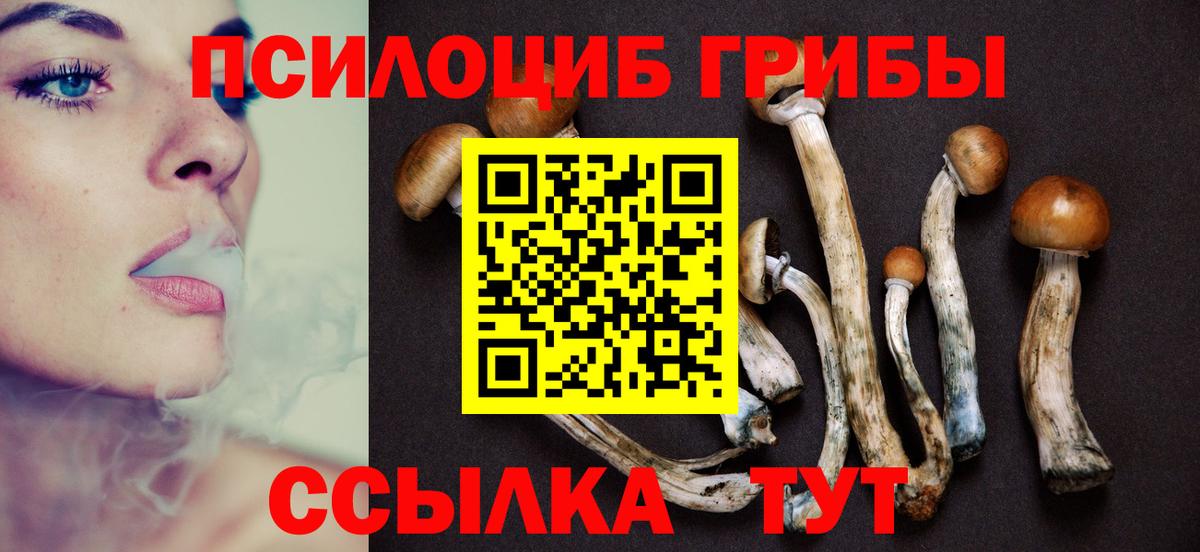 Псилоцибиновые грибы Psilocybe  Псилоцибиновые грибы Magic Shrooms  Выборг  Вход с VPN 
