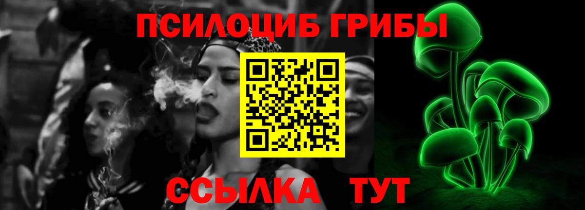 Псилоцибиновые грибы прущие грибы Выборг