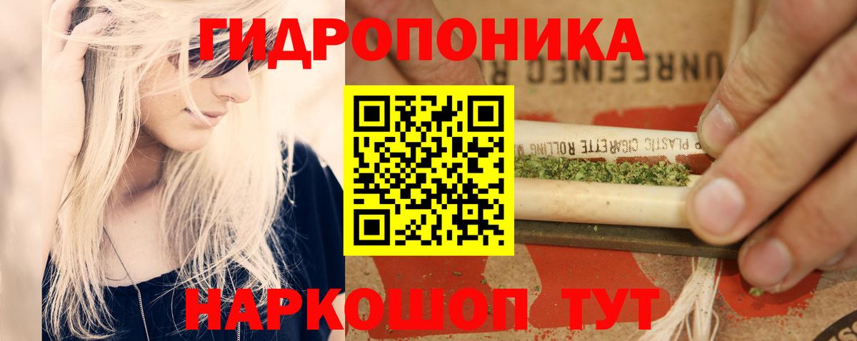 Шишки марихуана Amnesia Выборг